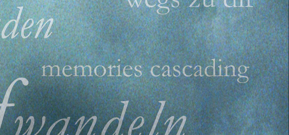 memories-cascading-ulrike-draesner